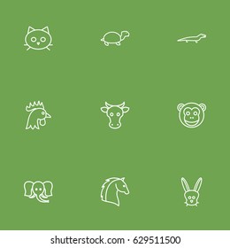 Set Of 9 Beast Outline Icons Set.Collection Of Elephant, Horse, Turtle And Other Elements.