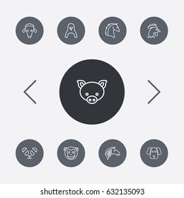 Set Of 9 Beast Outline Icons Set.Collection Of Feline Bear, Dog, Pig And Other Elements.