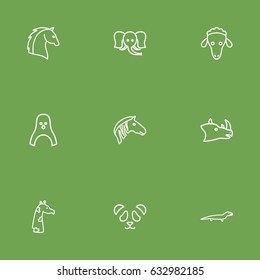Set Of 9 Beast Outline Icons Set.Collection Of Horse, Rhino, Elephant And Other Elements.