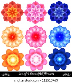 Set of 9 beautiful colored flowers