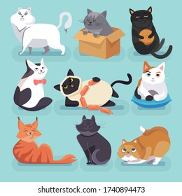 Set of 9 beautiful colored trendy cartoon cats. Different breeds. They are playing, having rest, interested in something. Isolated on a blue background, vector illustration.
