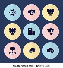 Set of 9 big filled icons such as elephant, search cloud, explosion, panther, paper towel