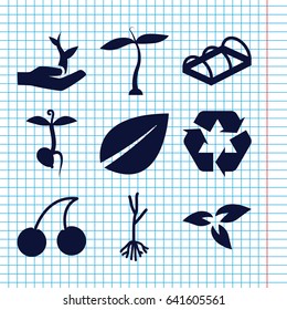 Set of 9 bio filled icons such as plant, leaf, cherry, sprout, greenohuse, recycle