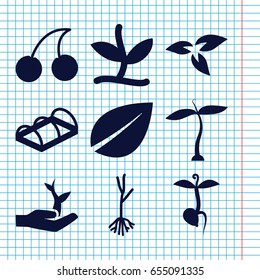 Set of 9 bio filled icons such as plant, leaf, cherry, sprout, greenohuse