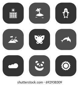 Set Of 9 Bio Icons Set.Collection Of Moth, Solar, Grampu And Other Elements.