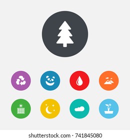 Set Of 9 Bio Icons Set.Collection Of Bear, Conservation, Spruce And Other Elements.