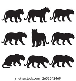 Conjunto de 9 silhuetas de tigre preto em várias poses. Ilustrações do vetor do gato grande selvagem perfeitas para o projeto da vida selvagem, logotipo, tatuagem, ou projetos com temática animal.