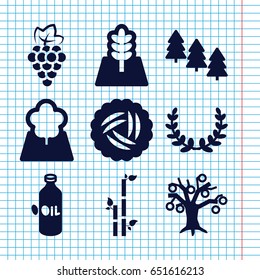 Set of 9 branch filled icons such as nest, grape, oil, pine tree, bamboo, tree, olive wreath