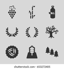 Set of 9 branch filled icons such as nest, grape, oil, pine tree, bamboo, tree