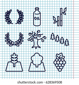 Set of 9 branch outline icons such as grape, oil, pine tree, bamboo, tree, olive branch, olive wreath