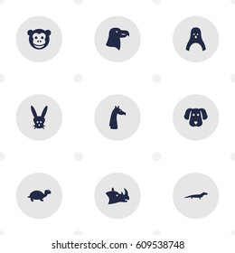 Set Of 9 Brute Icons Set.Collection Of Bunny, Tortoise, Camelopard And Other Elements.