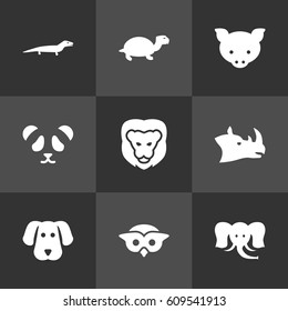 Set Of 9 Brute Icons Set.Collection Of King, Rhinoceros, Owl And Other Elements.