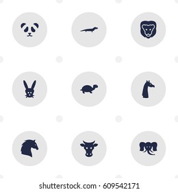 Set Of 9 Brute Icons Set.Collection Of Camelopard, Tortoise, Steed And Other Elements.