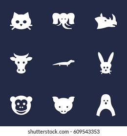 Set Of 9 Brute Icons Set.Collection Of Tomcat, Ape, Bunny And Other Elements.