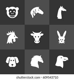 Set Of 9 Brute Icons Set.Collection Of Hoss, Camelopard, Rooster And Other Elements.