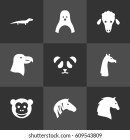 Set Of 9 Brute Icons Set.Collection Of Sea Bird, Steed, Hoss And Other Elements.