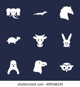 Set Of 9 Brute Icons Set.Collection Of Owl, Bishop, Sea Bird And Other Elements.