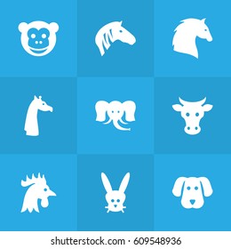 Set Of 9 Brute Icons Set.Collection Of Hoss, Camelopard, Kine And Other Elements.