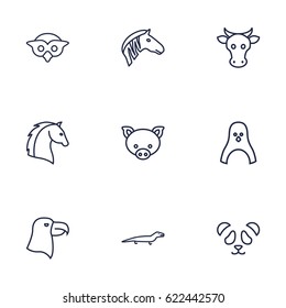 Set Of 9 Brute Outline Icons Set.Collection Of Pig, Lizard, Cow And Other Elements.