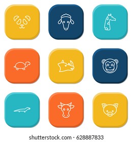 Set Of 9 Brute Outline Icons Set.Collection Of Sheep, Lizard, Pig And Other Elements.