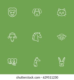 Set Of 9 Brute Outline Icons Set.Collection Of Rabbit, Giraffe, Lion And Other Elements.