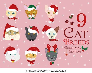 Set of 9 cat breeds with Christmas and winter themes