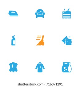 Set Of 9 Cleaning Icons Set.Collection Of Skin, Iron, Washing Powder And Other Elements.