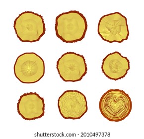 Set of 9 cross section of the trunk with tree rings, vector illustration on white background