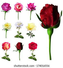 set of 9 decorative pink, red, white and yellow roses, design elements