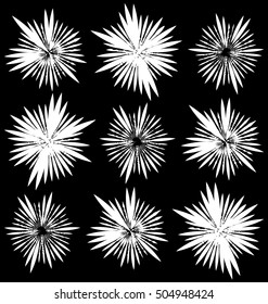 Set of 9 different element with random radial lines