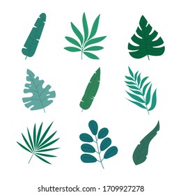 Set of 9 different leaves in modern colored flat style, isolated on white background.
