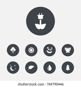 Set Of 9 Ecology Icons Set.Collection Of Bear, Solar, Moth And Other Elements.