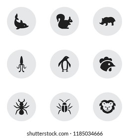 Set of 9 editable animal icons. Includes symbols such as beetle, penguin, rhinoceros and more. Can be used for web, mobile, UI and infographic design.