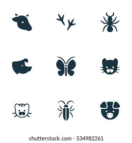 Set Of 9 Editable Animal Icons. Includes Symbols Such As Bedbug, Moth, Beast And More. Can Be Used For Web, Mobile, UI And Infographic Design.