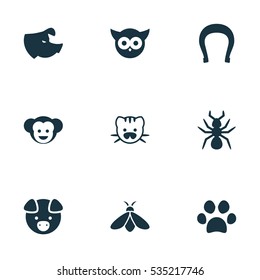 Set Of 9 Editable Animal Icons. Includes Symbols Such As Bird, Sow, Baboon And More. Can Be Used For Web, Mobile, UI And Infographic Design.