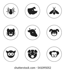 Set Of 9 Editable Animal Icons. Includes Symbols Such As Arachind, Hog, Bird And More. Can Be Used For Web, Mobile, UI And Infographic Design.