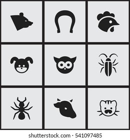 Set Of 9 Editable Animal Icons. Includes Symbols Such As Bug, Grizzly, Talisman And More. Can Be Used For Web, Mobile, UI And Infographic Design.