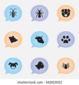 Set Of 9 Editable Animal Icons. Includes Symbols Such As Bug, Bull, Grizzly And More. Can Be Used For Web, Mobile, UI And Infographic Design.