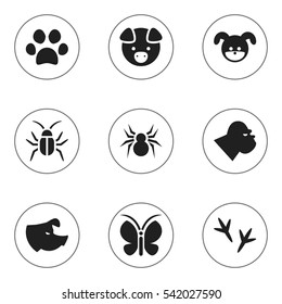 Set Of 9 Editable Animal Icons. Includes Symbols Such As Puppy, Chimpanzee, Footprint And More. Can Be Used For Web, Mobile, UI And Infographic Design.