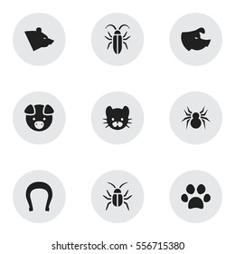 Set Of 9 Editable Animal Icons. Includes Symbols Such As Sow, Cockroach, Grizzly And More. Can Be Used For Web, Mobile, UI And Infographic Design.