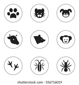 Set Of 9 Editable Animal Icons. Includes Symbols Such As Feline, Baboon, Bedbug And More. Can Be Used For Web, Mobile, UI And Infographic Design.