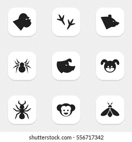 Set Of 9 Editable Animal Icons. Includes Symbols Such As Sow, Footprint, Arachind And More. Can Be Used For Web, Mobile, UI And Infographic Design.