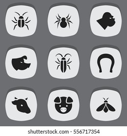 Set Of 9 Editable Animal Icons. Includes Symbols Such As Arachind, Honey, Talisman And More. Can Be Used For Web, Mobile, UI And Infographic Design.