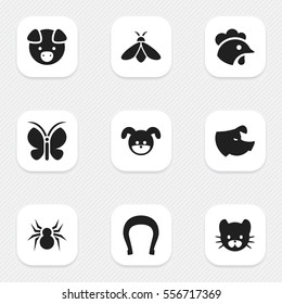 Set Of 9 Editable Animal Icons. Includes Symbols Such As Puppy, Feline, Moth And More. Can Be Used For Web, Mobile, UI And Infographic Design.