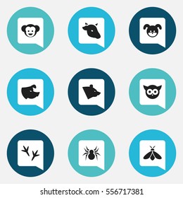 Set Of 9 Editable Animal Icons. Includes Symbols Such As Footprint, Bull, Honey And More. Can Be Used For Web, Mobile, UI And Infographic Design.