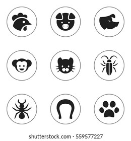 Set Of 9 Editable Animal Icons. Includes Symbols Such As Baboon, Bug, Sow And More. Can Be Used For Web, Mobile, UI And Infographic Design.