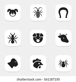 Set Of 9 Editable Animal Icons. Includes Symbols Such As Chimpanzee, Bug, Rooster And More. Can Be Used For Web, Mobile, UI And Infographic Design.