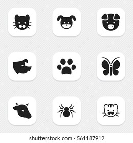 Set Of 9 Editable Animal Icons. Includes Symbols Such As Beast, Sow, Puppy And More. Can Be Used For Web, Mobile, UI And Infographic Design.
