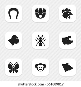 Set Of 9 Editable Animal Icons. Includes Symbols Such As Chimpanzee, Rooster, Sow And More. Can Be Used For Web, Mobile, UI And Infographic Design.