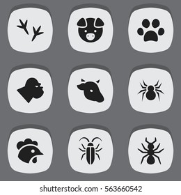 Set Of 9 Editable Animal Icons. Includes Symbols Such As Chimpanzee, Arachind, Forepaw And More. Can Be Used For Web, Mobile, UI And Infographic Design.